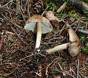 IMG_1047