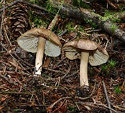 IMG_1049