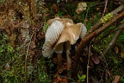 IMG_6040