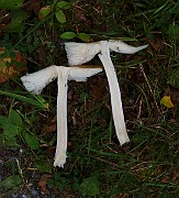 IMG_6048