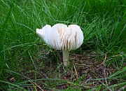 IMG_6855