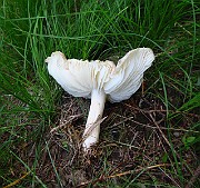 IMG_6856