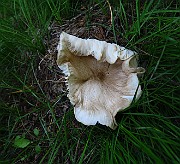IMG_6858