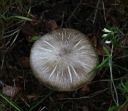 IMG_9852