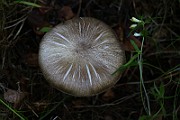 IMG_9853