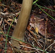 IMG_9855