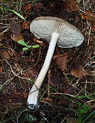 IMG_9856
