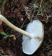 IMG_9858