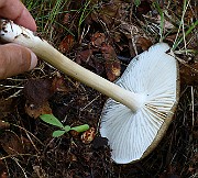 IMG_9859
