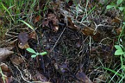 IMG_9860