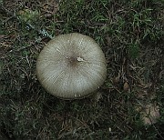 IMG_9974