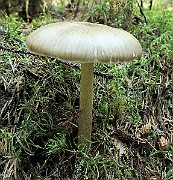 IMG_9976