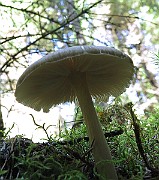 IMG_9979