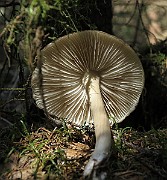 IMG_9981