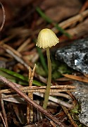 IMG_0897