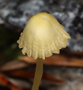 IMG_0899