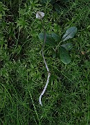 IMG_0109