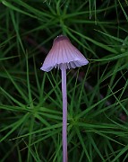 IMG_6154
