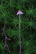 IMG_6156
