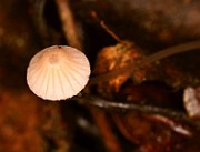 IMG_0196