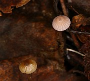 IMG_0197