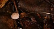 IMG_0198