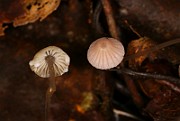 IMG_0199
