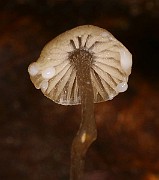 IMG_0199b
