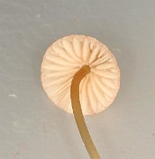 IMG_0202