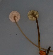 IMG_0204