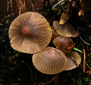 IMG_6134