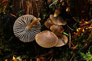 IMG_6136