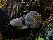 IMG_7893