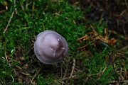 IMG_9336
