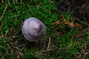 IMG_9337