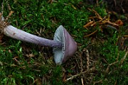 IMG_9340