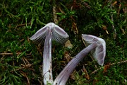 IMG_9343