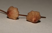 IMG_0397