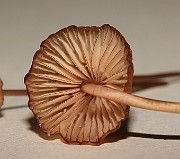IMG_0399