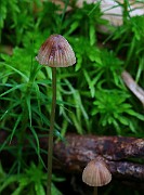 IMG_1165