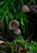 IMG_1167
