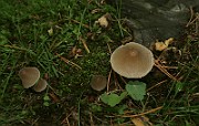 IMG_0257