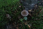 IMG_0258