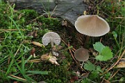 IMG_0261