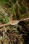 IMG_0920