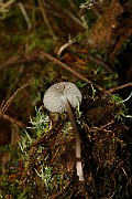 IMG_0922