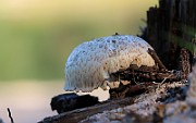 IMG_1609