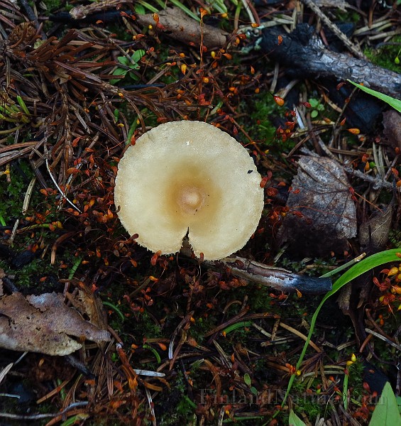 IMG_7877.JPG -                                
