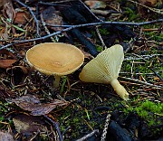 IMG_7880
