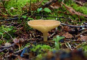 IMG_7882